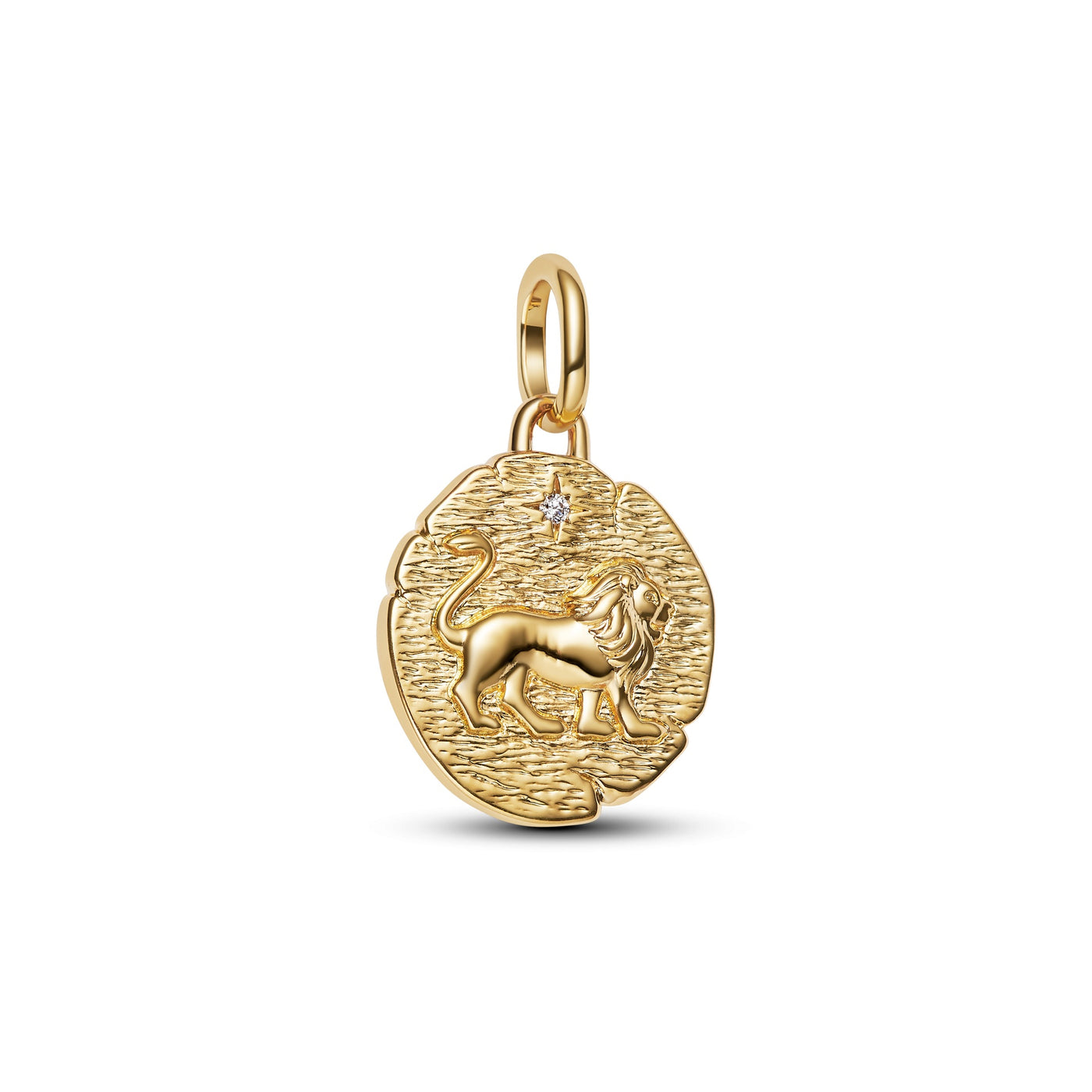 Lion Medallion Charm Earrings